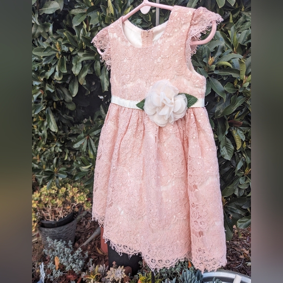 Rare Editions Cap Sleeve Pink Lace Dress Size 24 mos - Picture 6 of 10